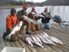 (11/08/2017) - Nice Striped Bass